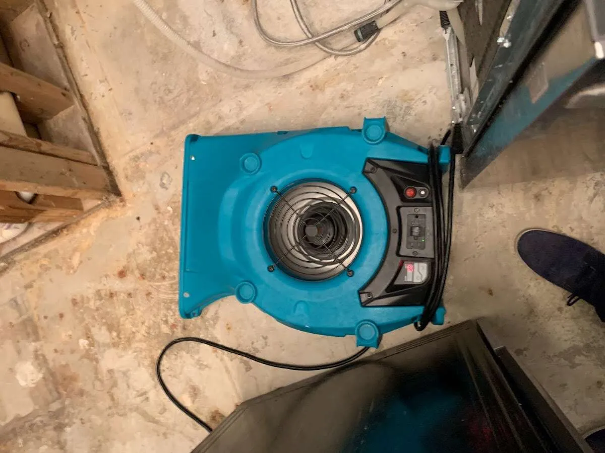 Air mover drying equipment for Mold Remediation & Removal in East Pasadena
